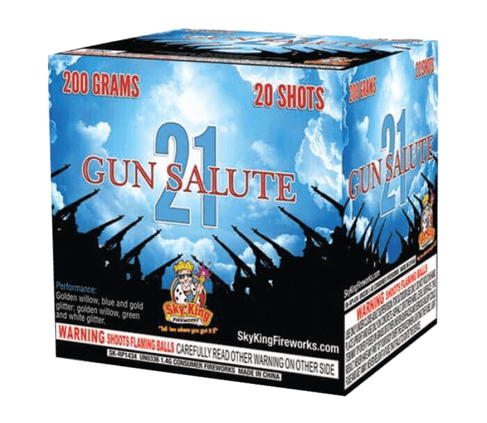 21 GUN SALUTE