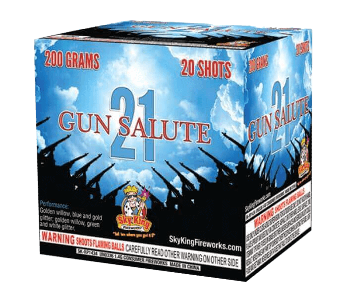 21 GUN SALUTE