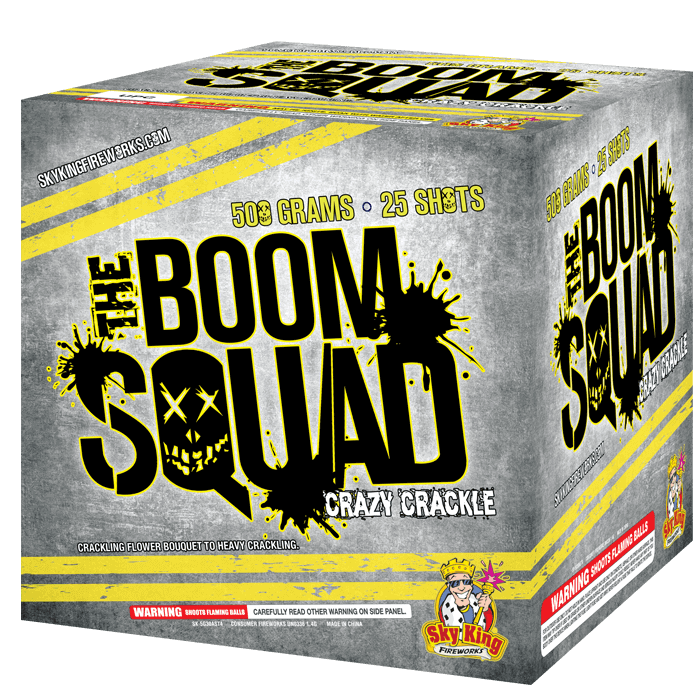THE BOOM SQUAD - CRACKLE